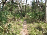 On the Florida Trail